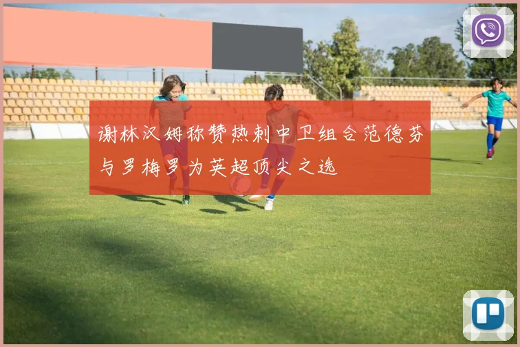 谢林汉姆称赞热刺中卫组合范德芬与罗梅罗为英超顶尖之选