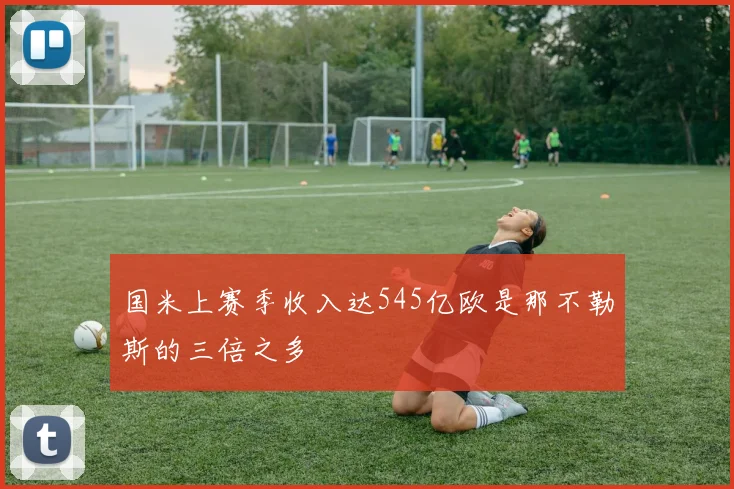 国米上赛季收入达545亿欧是那不勒斯的三倍之多