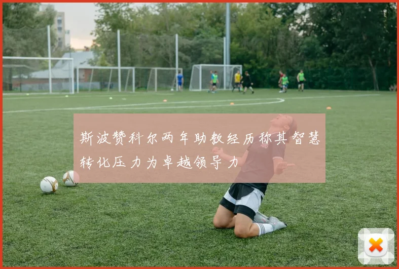 斯波赞科尔两年助教经历称其智慧转化压力为卓越领导力