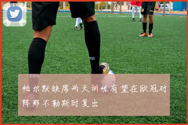 帕尔默缺席两天训练有望在欧冠对阵那不勒斯时复出