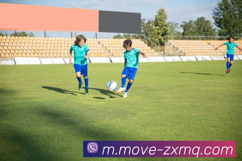 在线买球网站APP 封面图